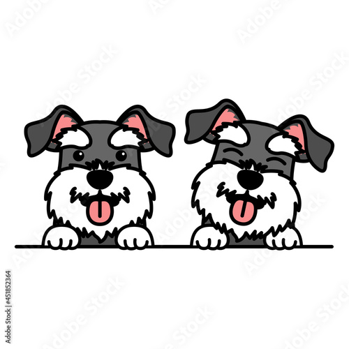 Cute miniature schnauzer dog cartoon, vector illustration