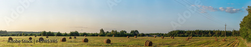 Large bales of fresh hay on the field, Ukraine