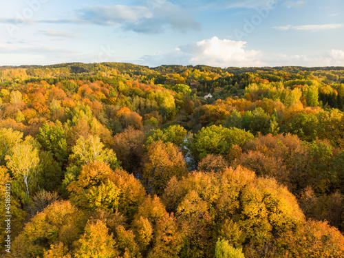 Fototapeta Naklejka Na Ścianę i Meble -  Aerial view of autumn forest with green and yellow trees. Mixed deciduous and coniferous forest. Beautiful fall scenery near Vilnius, Lithuania