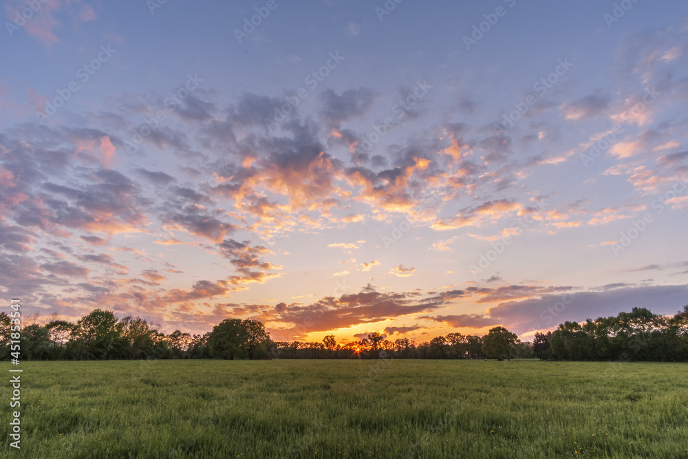 Landscape in Munsterland Germany at evening sky with meadow