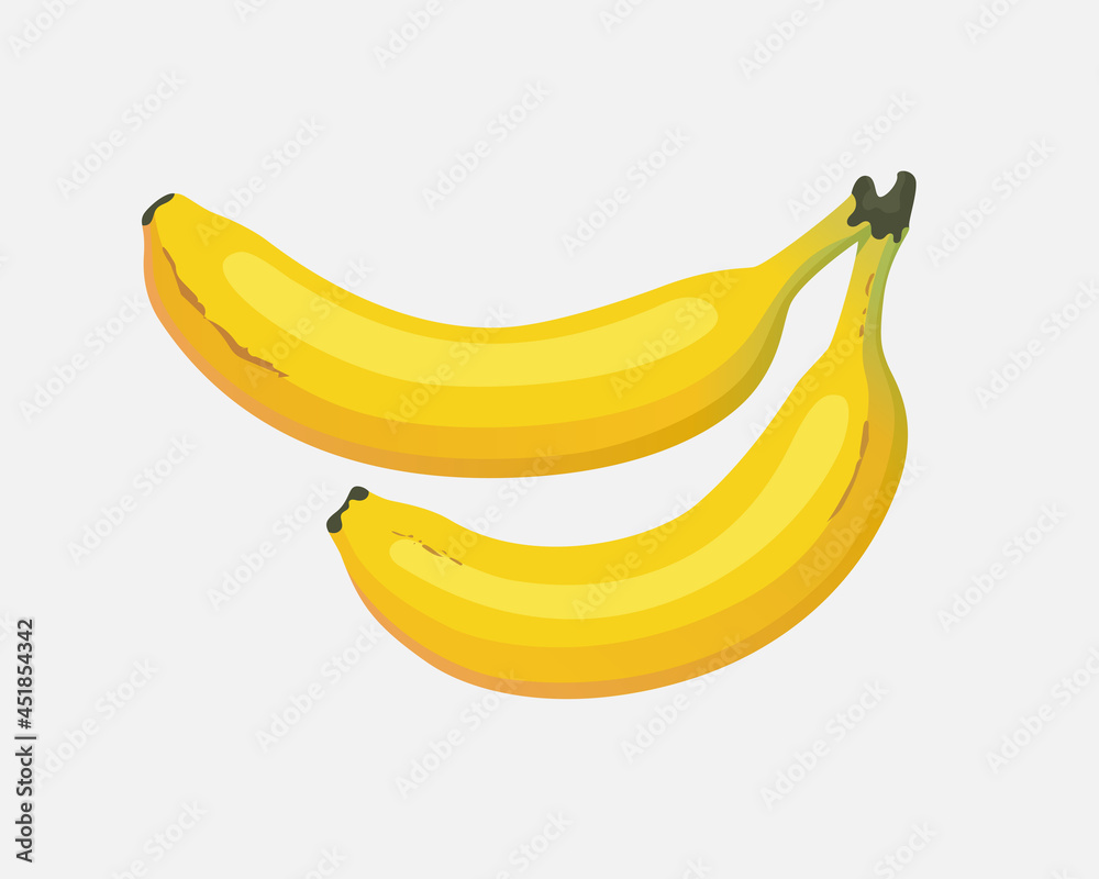 Two bananas. Vector trending flat illustration. A bunch of bananas on a gray background. Two bananas. Vector trending flat illustration. A bunch of bananas on a gray background.