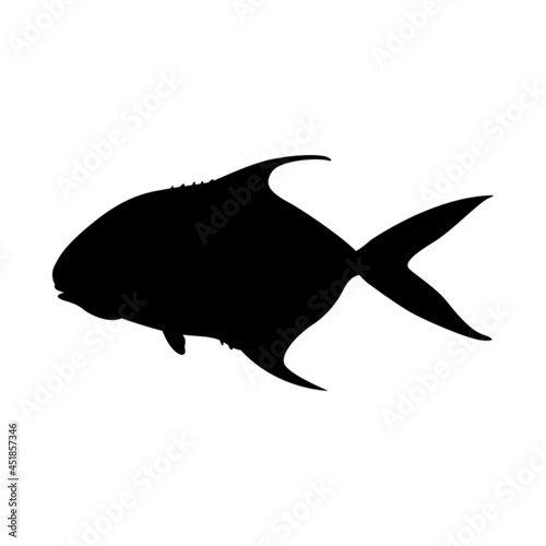 permit  fish , vector illustration, black silhouette, side