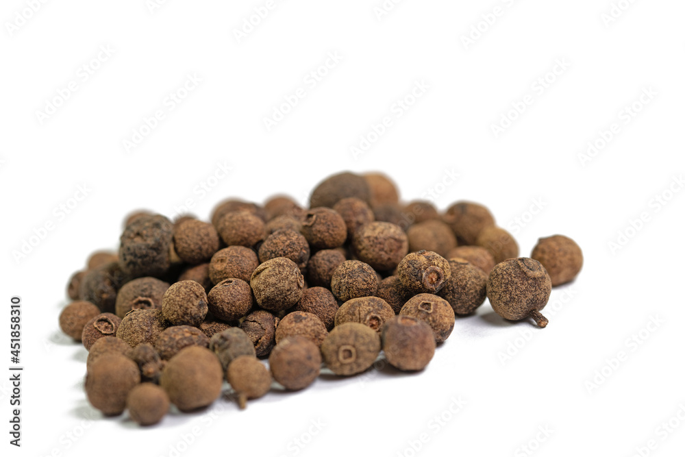 Piment, Pimenta dioica, vor weißem Hintergrund Piment, Pimenta dioica, vor weißem Hintergrund