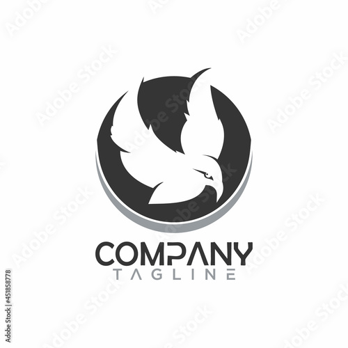 Flying bird logo 