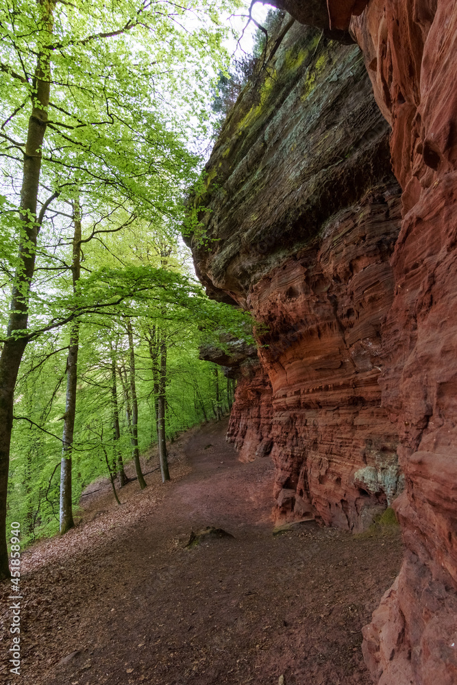 Rockformation of Altschlossfelsen of red sandstone in forest near Eppenbrunn, Germany Rockformation of Altschlossfelsen of red sandstone in forest near Eppenbrunn, Germany