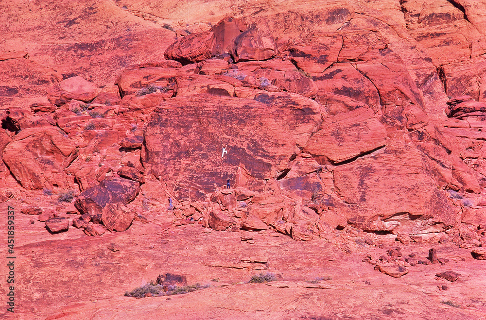 Fototapeta premium Red Rock Canyon, Nevada