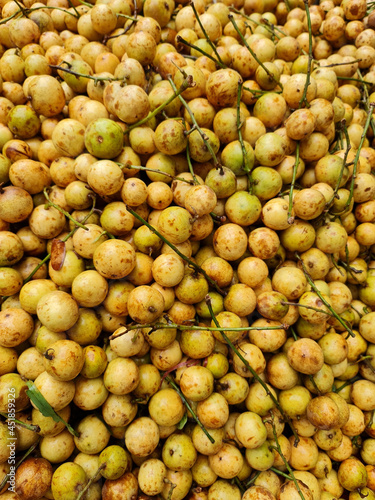 Baccaurea motleyana or Lotkon in Bangla a mouthwatering testy fruits photo