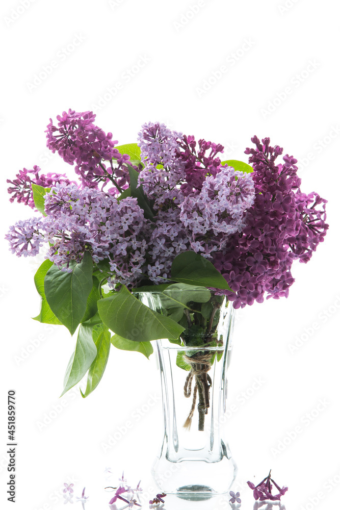 bouquet of different blooming spring lilacs in a vase on white background bouquet of different blooming spring lilacs in a vase on white background