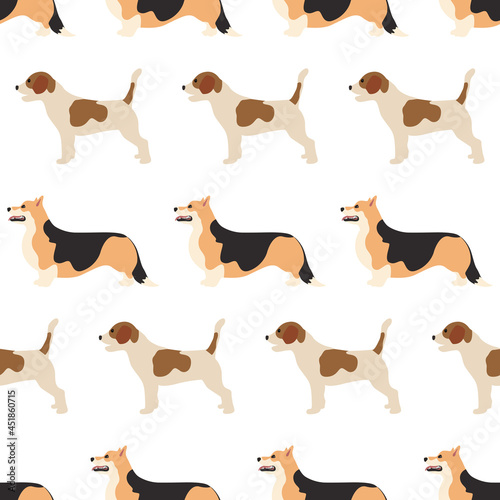 Vector seamless pattern with corgi and beagle dogs. vector illustration flat with a domestic cute animal on a white background.