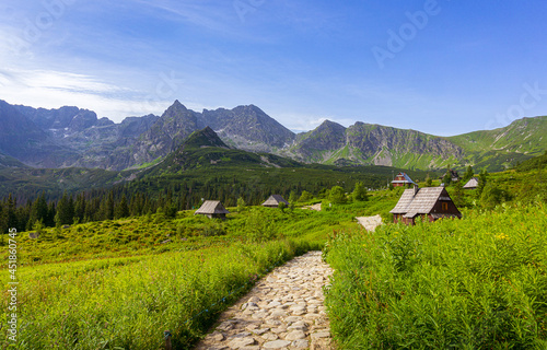 Fototapeta Naklejka Na Ścianę i Meble -  Hala Gąsienicowa | Tatry, Polska