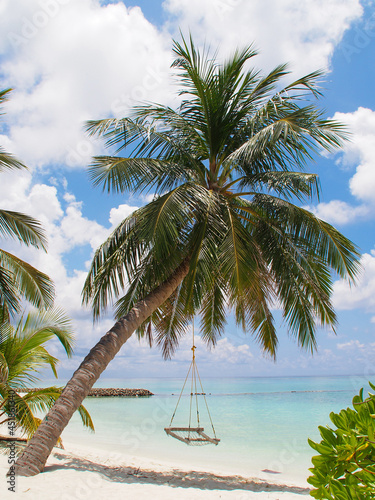 Hanging hammock on a palm tree on a beach with white sand and blue ocean of the Maldives