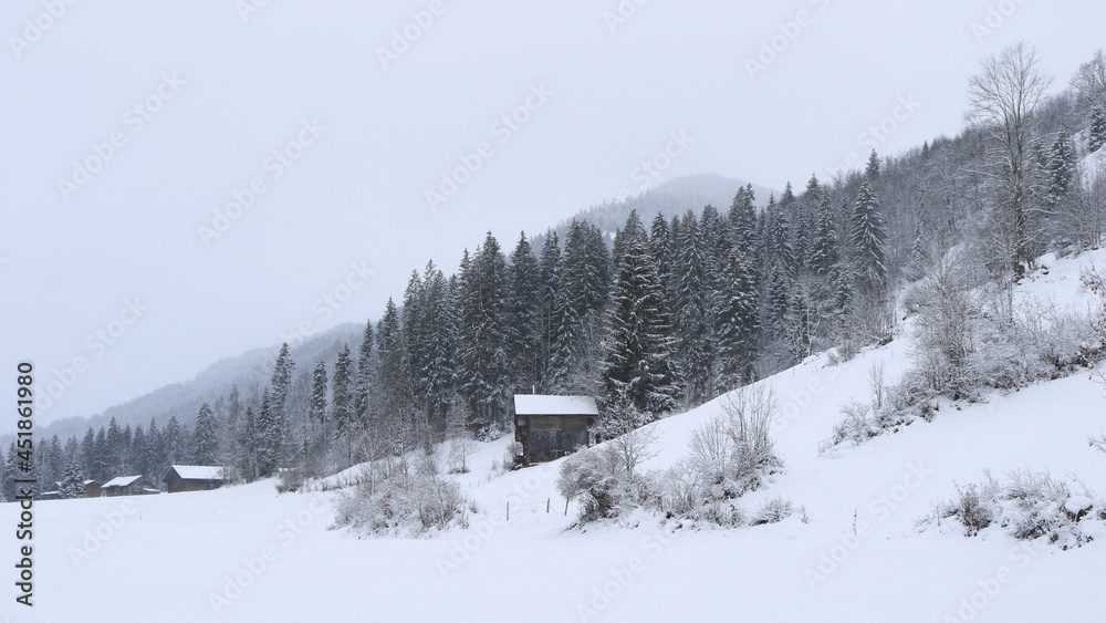 Snow covered forest and small chalet in the Bernese Oberland.