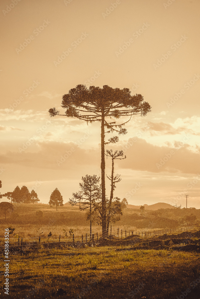 Obraz premium Pôr do sol