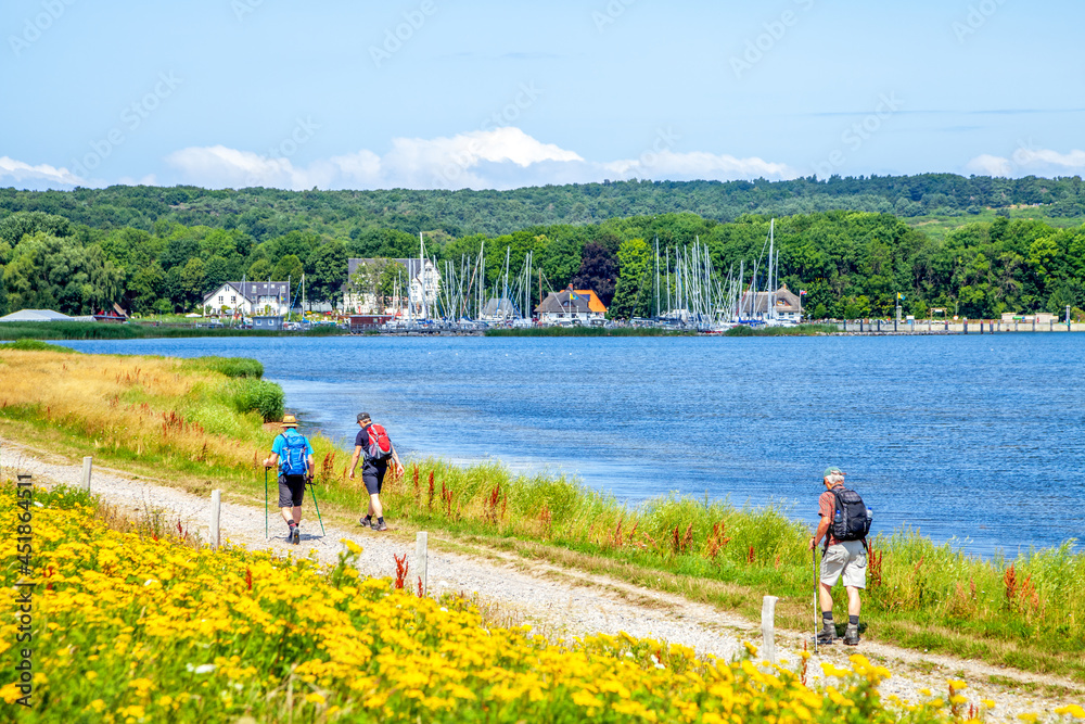 Wanderer auf dem Weg zum Hafen Vitte, Hiddensee, Deutschland Wanderer auf dem Weg zum Hafen Vitte, Hiddensee, Deutschland