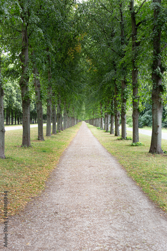 Photo of a tree line road with infinity view in Herrenhausen garden in Hannover.