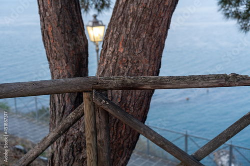 Selective focus shot of a wooden fence and tree on the shore in Numana, Marche, Italy photo