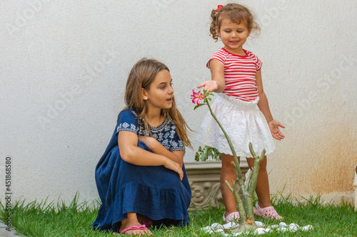 Criança mostra flor para amiga photo