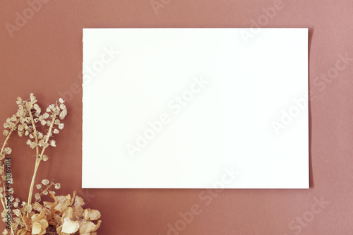 autumn mood background, white blank paper page with dry flowers around on brown background