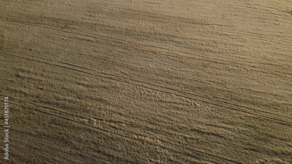 A field with ripe barley, ready for harvest. Aerial photography. A field with ripe barley, ready for harvest. Aerial photography.