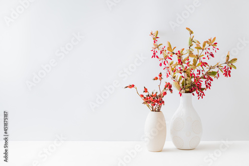 Home interior with decor elements. Colorful autumn leaves and red berries in a vase on a light background