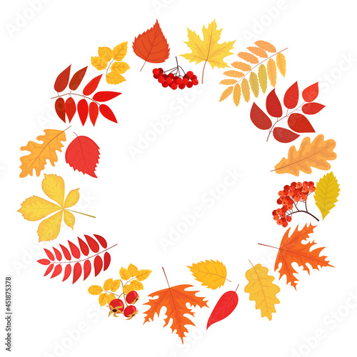 Autumn round frame, garland, wreath or border of colored fallen leaves and berries. Concept of natural decorative background of leaf fall in modern flat cartoon style. Isolated vector illustration