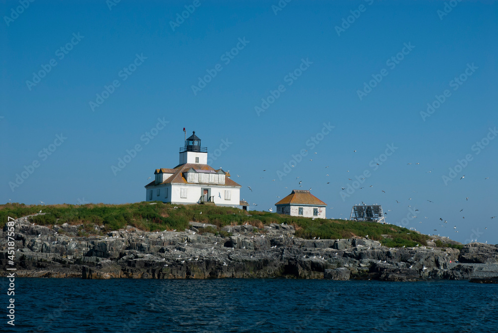 Seagulls Flying Around Lighthouse in Acadia National Park in Maine
