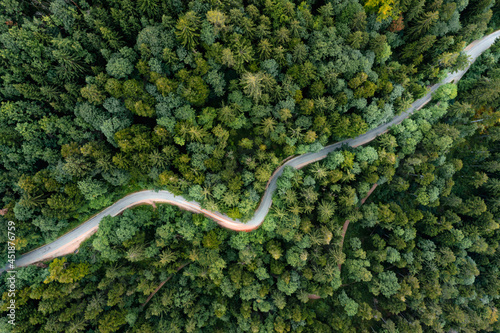 Backlights of a driving car in a curvy road as long exposure from a drone, having a trip to a green summer forest at the evening. photo