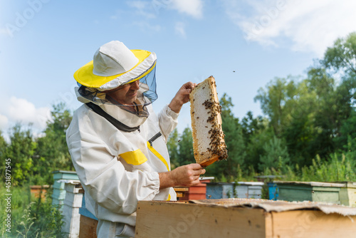 Beekeeper works with bees in the apiary