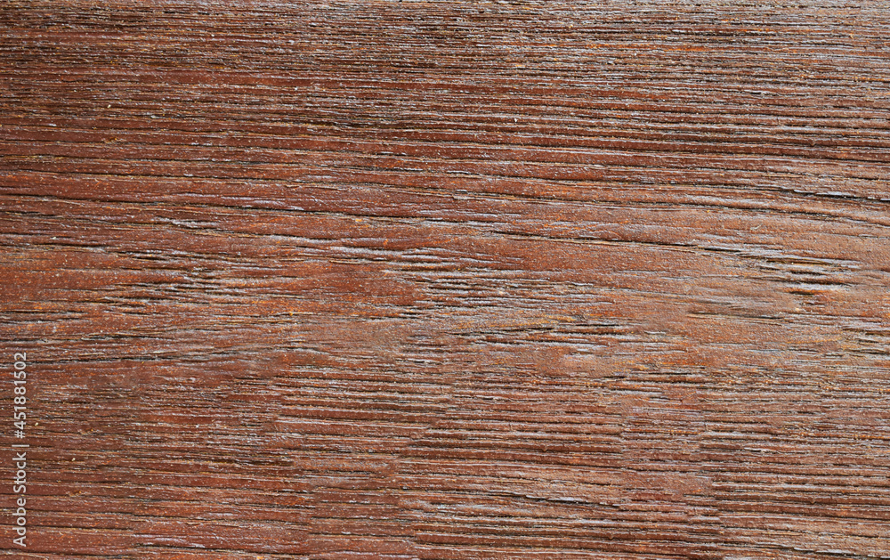 Abstract, natural and high resolution textures. Abstract, natural and high resolution textures.