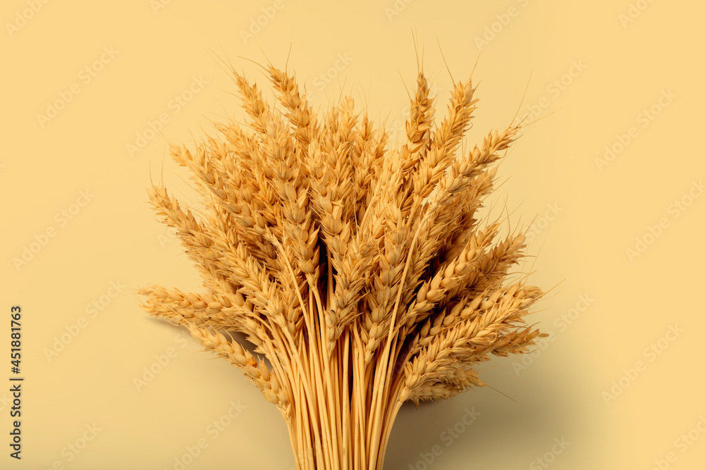 Fototapeta premium Bushy sheaf of rye on yellow background. Harvesting concept.