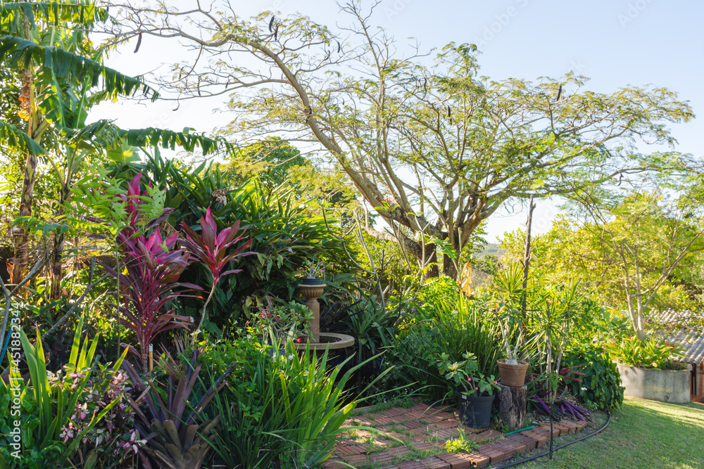Fototapeta premium Jardim repleto de plantas e flores