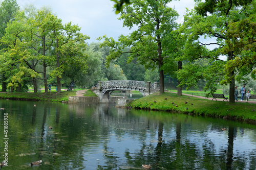 bridge over the river