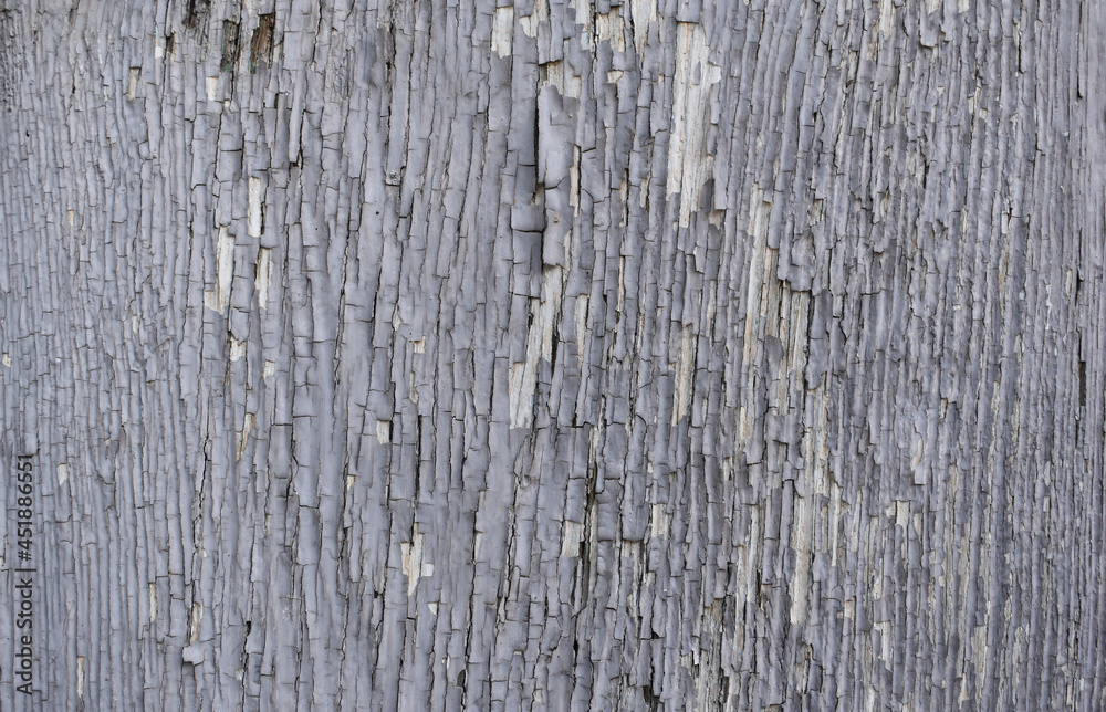 Fototapeta premium Abstract, natural and high resolution textures.