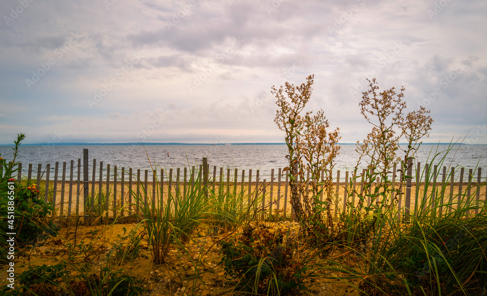 Fenced beach garden over the sand dunes. Ecofriendly erosion control management on Cape Cod in Massachusetts.