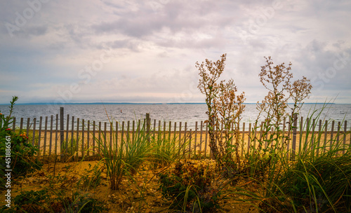 Fenced beach garden over the sand dunes. Ecofriendly erosion control management on Cape Cod in Massachusetts.