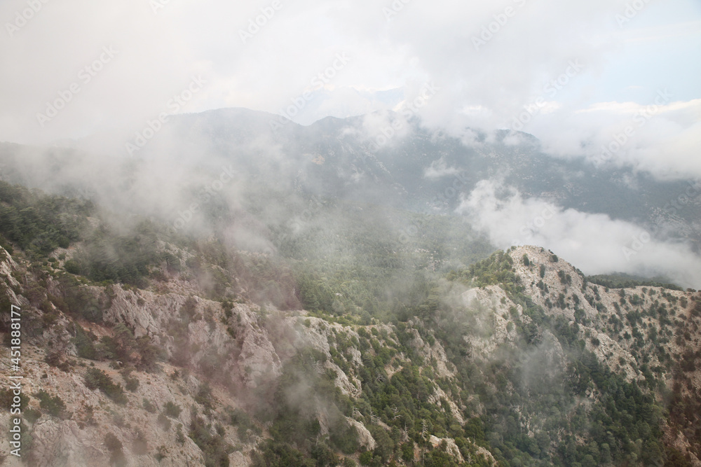 Mountains with a forest area covered with thick fog