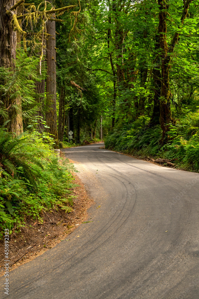Winding mountain road through wooded land