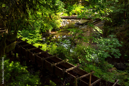 Wooden trough beside creek in forest