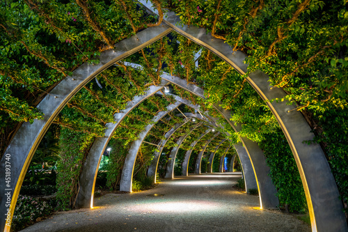 Brisbane Arbour walk located in the picturesque Southbank parklands photo