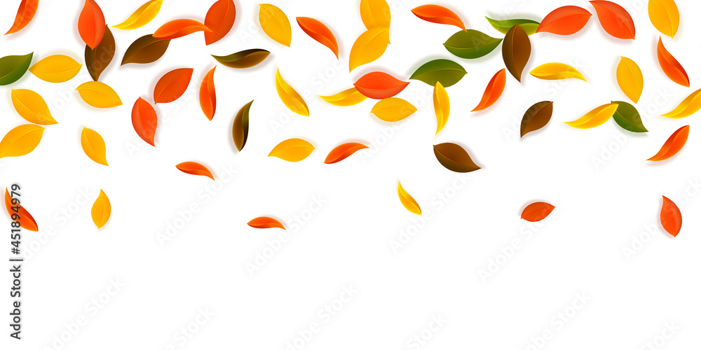 Falling autumn leaves. Red, yellow, green, brown n