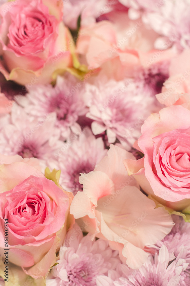 Pink roses background Pink roses background
