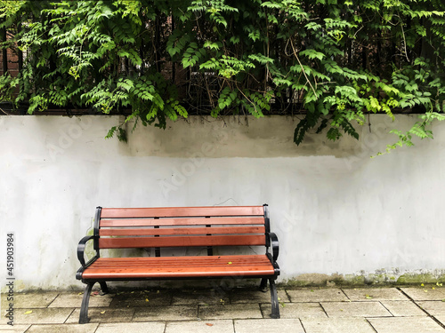 bench in the park