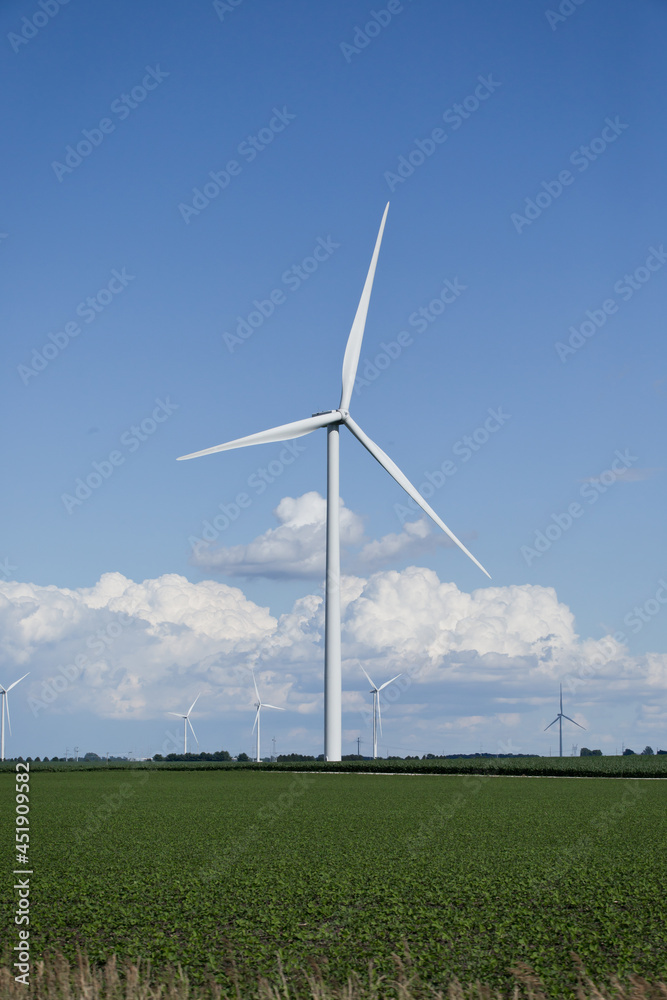 A wind farm surrounded by agricultural corn and soybean fields on a warm summer day with a partially cloudy blue sky. Copy space A wind farm surrounded by agricultural corn and soybean fields on a warm summer day with a partially cloudy blue sky. Copy space