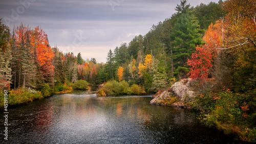 Fall foliage by Dead river in Michigan countryside during autumn time