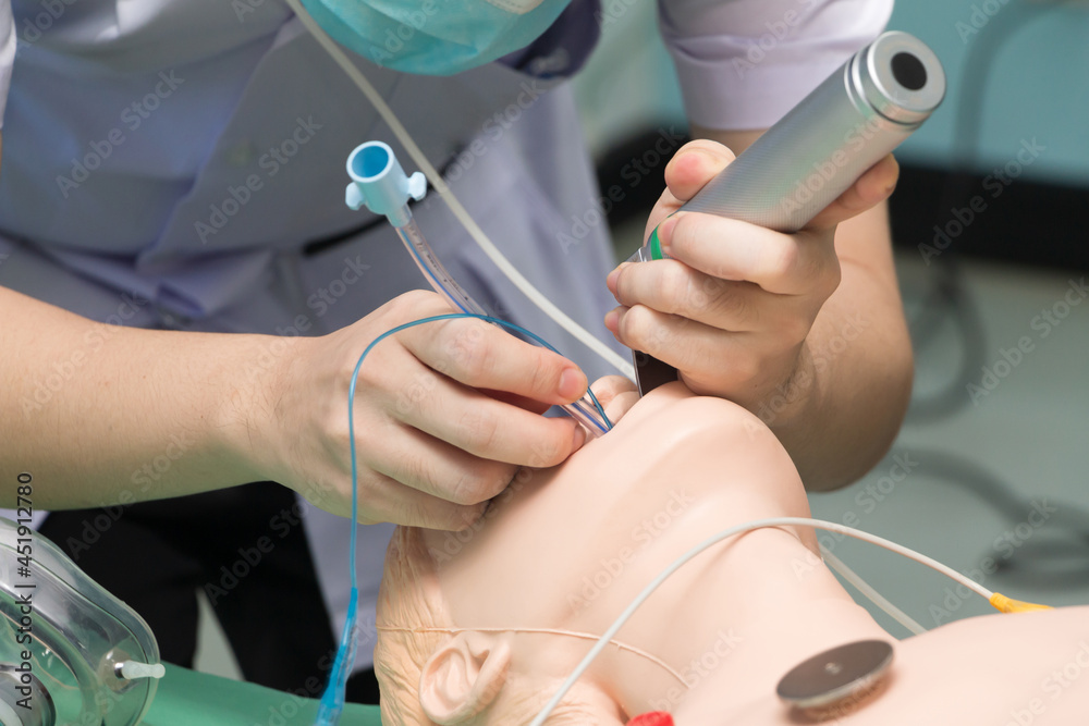 Anesthesiologist performing an orotracheal intubation on a simulation,  Medical manipulation. mannequin dummy during medical training to control of  the airway. Photos | Adobe Stock