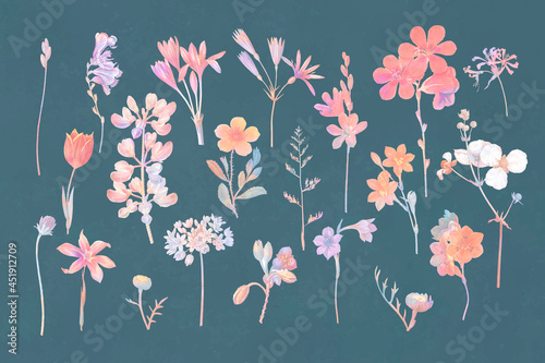 Colorful floral design vector set