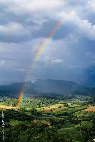 Rainbow hills rain Over Forest.