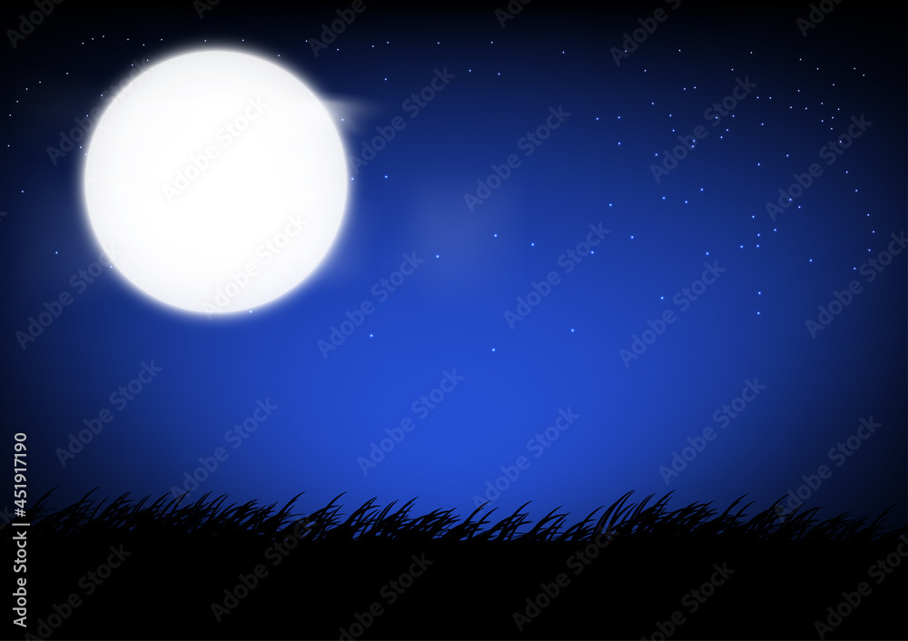 Fototapeta premium Moon on the sky and grass on the ground at night time graphics design vector illustration
