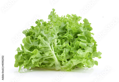 Green oak lettuce  salad leaves isolated on white
