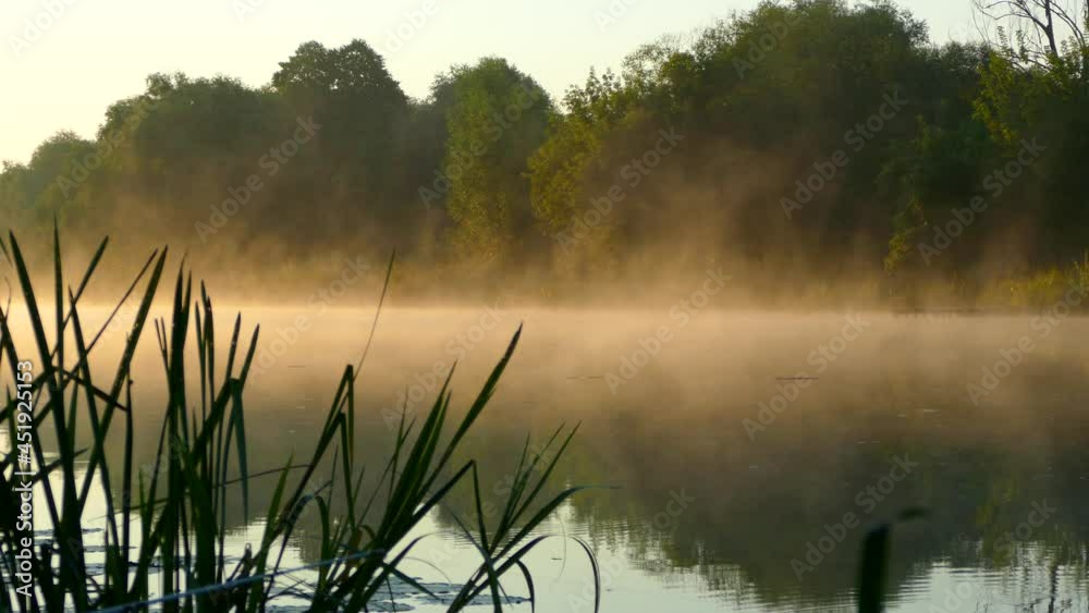 Beautiful morning landscape. Morning by the forest river. Fog over the lake. Nature and dawn. Beautiful morning landscape. Morning by the forest river. Fog over the lake. Nature and dawn.